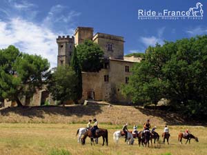 Free wallpapers about our equestrian holidays and horseback rides in Luberon - Provence - Ride in France