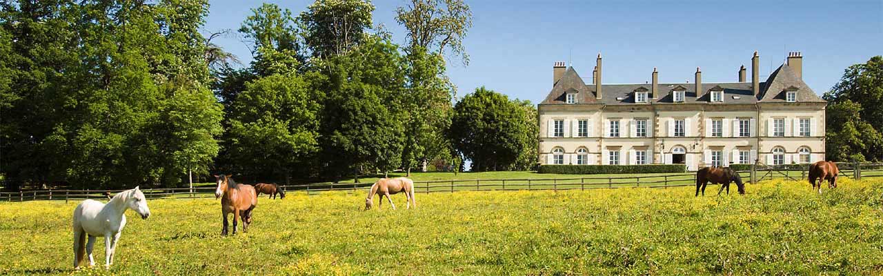 RIDE IN FRANCE - Stay in a castle in Allier