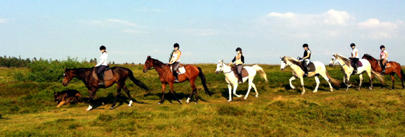 riding in alsatian villages