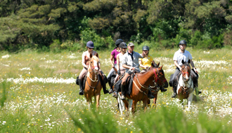 Randonnée à cheval - Un voyage Rando Cheval