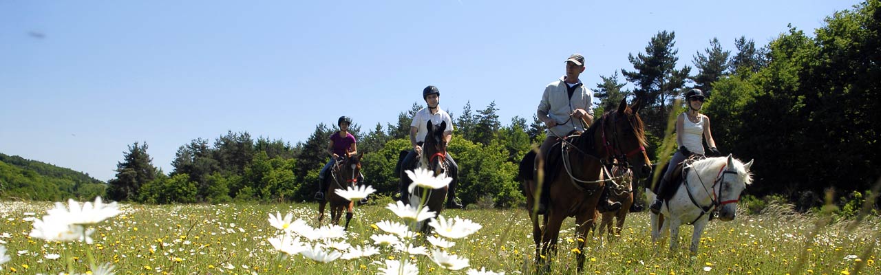 Voyage à cheval - Randonnée équestre organisée par Randocheval