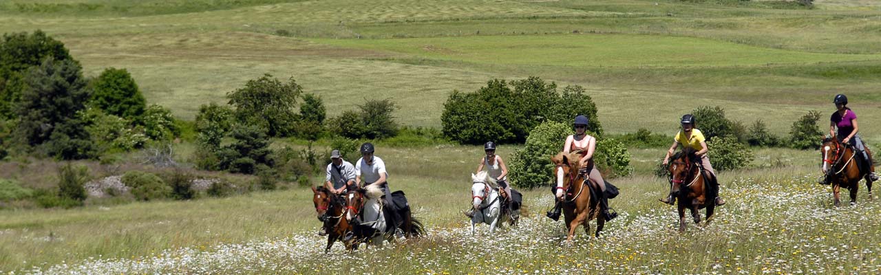 Voyage à cheval - Randonnée équestre organisée par Randocheval