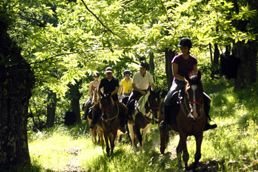 Horse Riding holidays in France