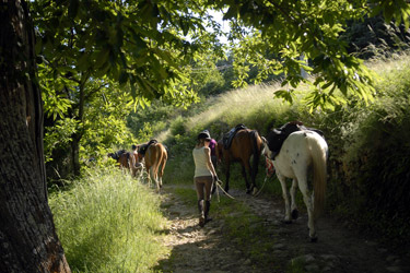 Horse Riding holidays in France