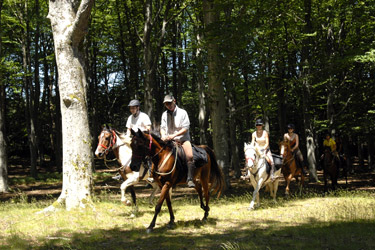 Horse Riding holidays in France