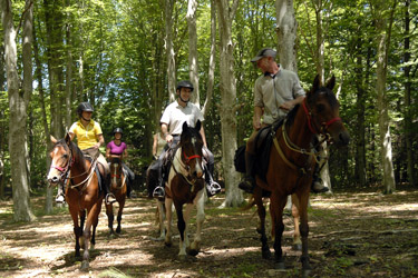 Horse Riding holidays in France