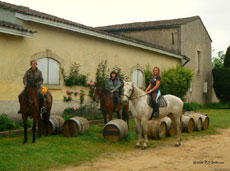 Ride In France - Horse riding and wine tasting tour in Bordeaux vineyards
