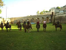 Ride In France - Horse riding and wine tasting tour in Bordeaux vineyards