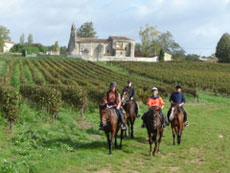 Ride In France - Horse riding and wine tasting tour in Bordeaux vineyards
