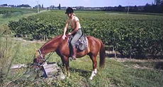 Ride In France - Horse riding and wine tasting tour in Bordeaux vineyards