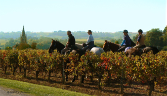 RIDE IN FRANCE - Wine tasting in Bordeaux