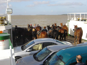 Traversée de l'estuaire de la Gironde par bac - Boredaux - Ride in France