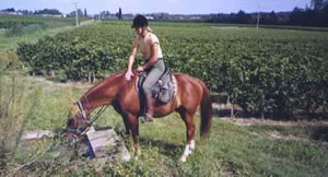 Traversée des célèbres vignobles du Bordelais - Ride in France