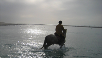 Horse riding tour to Provencal Colorado in Luberon (Provence) - Ride in France