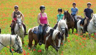 RIDE IN FRANCE - Vineyards of Burgundy