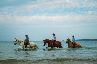 Rando Cheval - Voyage à cheval