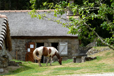 Rando Cheval - Voyage à cheval