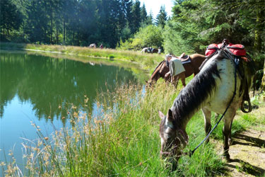 Rando Cheval - Voyage à cheval