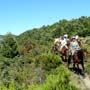 Randonnée en Corse, Agriates - RANDOCHEVAL