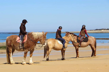 Randonnée à cheval - Un voyage Rando Cheval