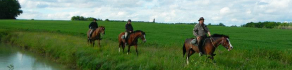 Randonnée à cheval - Un voyage Rando Cheval