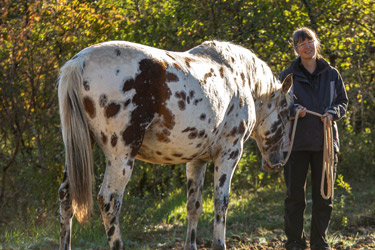 Randonnée à cheval - Un voyage Rando Cheval