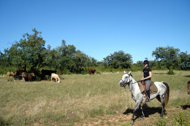 Rando Cheval - Voyage à cheval