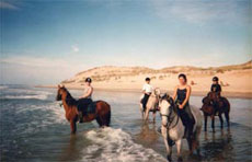 RIDE IN FRANCE - Canter on Medoc beach
