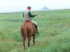 RIDE IN FRANCE - Horse riding guide