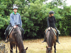 RIDE IN FRANCE - Horses grazing