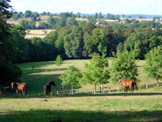 See Valley - Landscape of the Bay - Ride In France / Randocheval / Absolu Voyages
