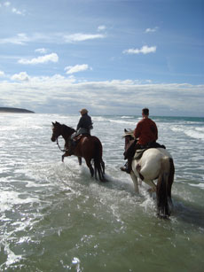 RIDE IN FRANCE - Riding in the sea