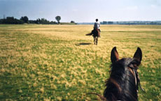 See Valley - Landscape of the Bay - Ride In France / Randocheval / Absolu Voyages