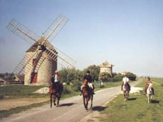 4 days around the Mont Saint Michel Bay - Ride in France / Randocheval / Absolu Voyages