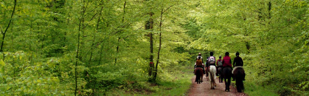 Voyage à cheval - Randonnée équestre organisée par Randocheval