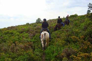 Horse Riding holidays in France