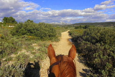 Horse Riding holidays in France