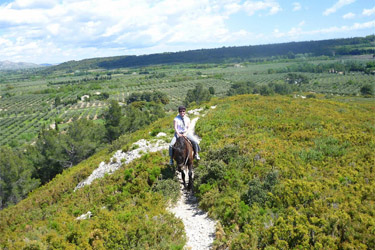 Horse Riding holidays in France