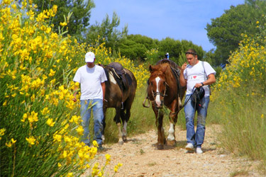 Horse Riding holidays in France