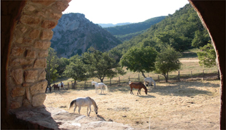 Randonnée à cheval - Un voyage Rando Cheval