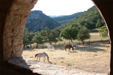 Rando Cheval - Voyage à cheval