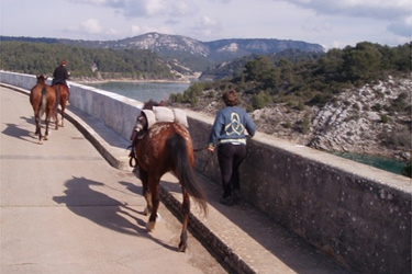 Rando Cheval - Voyage à cheval