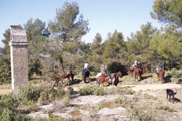 Rando Cheval - Voyage à cheval