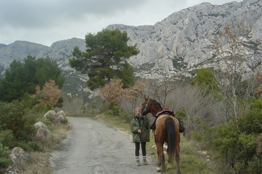 Rando Cheval - Voyage à cheval