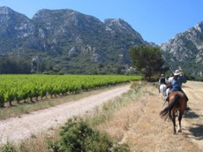 Cezanne's Provence trail ride / Ride in France - Randocheval