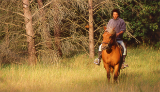 Riders in front of a castle during a horse riding tour in Provence - Ride in France