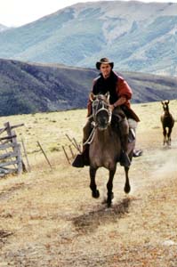 Ride in France - French travel agency specialised in horse riding tours and vacation in France
