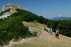 Horseback holidays in Vercors' mountains - Ride in France